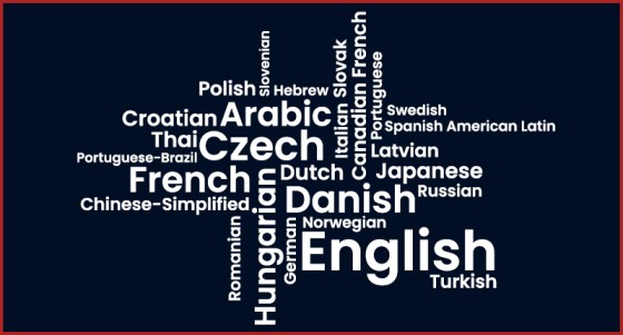 RChilli multi-lingual parsing solution in Oracle HCM